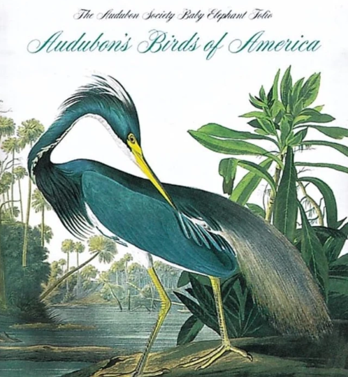 Audubon's Birds of America: The Tiny Folio | Blue Heron